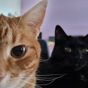 sleepingdead88 avatar