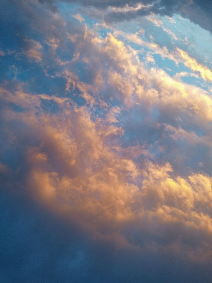 Took This On My Android. Turned Out Great!