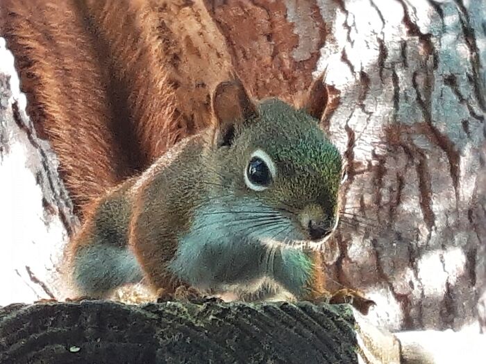 My Buddy Looking Down On Me