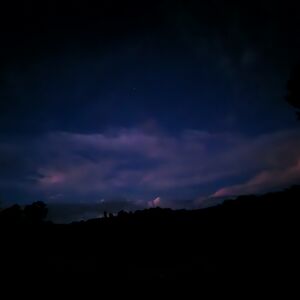 courtneehardie avatar