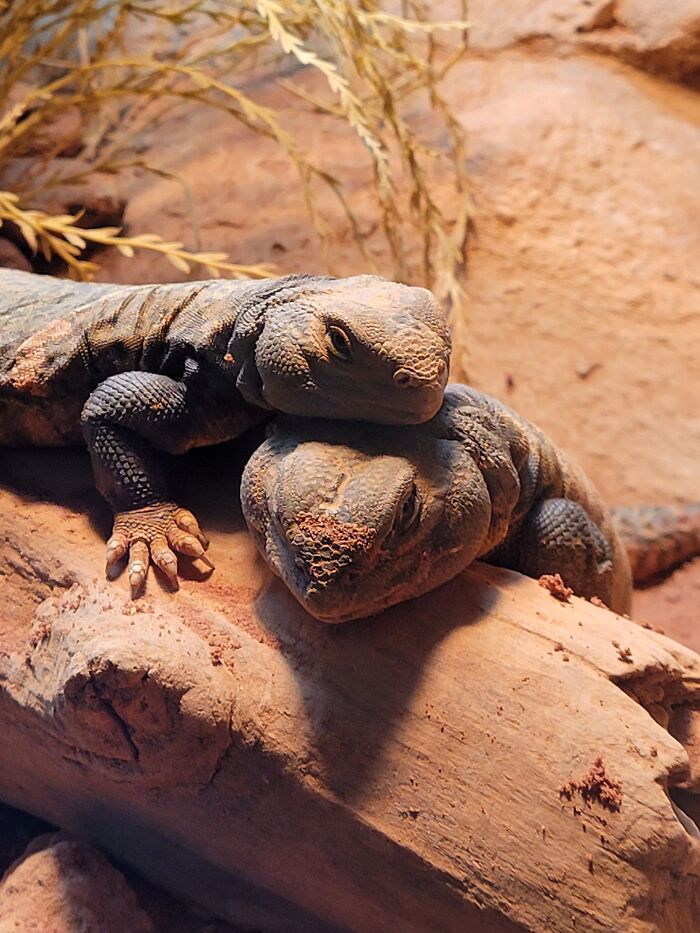 From An Aquarium I Went To