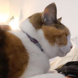 olafurunnarjohannsson avatar