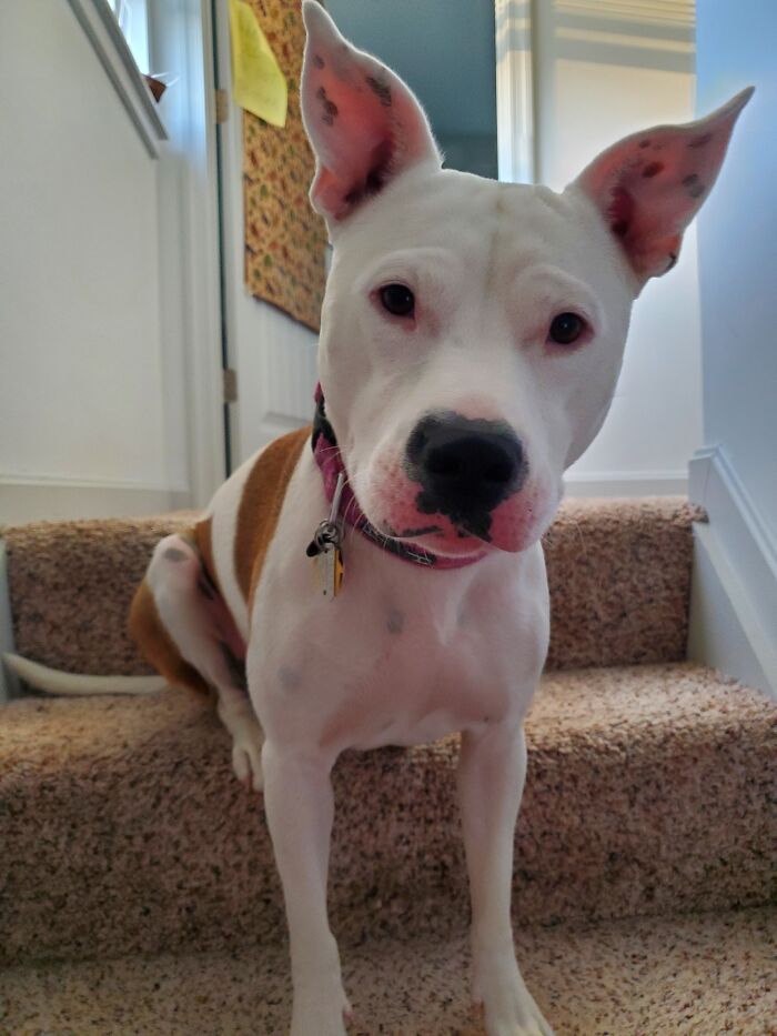 My Baby Girl, Stormi