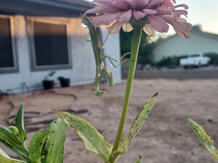 He's My New Friend I Named Him Jeff