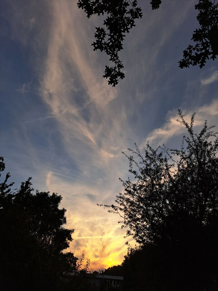 Im So Late To This Hahaha