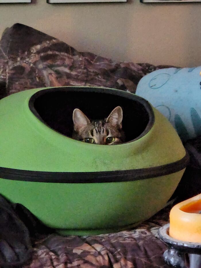 15 And Still Creepin'