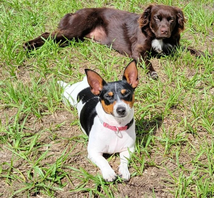 Meet Teddy. To Bad He Already Has A Girlfriend. And His Sister( In The Backround)