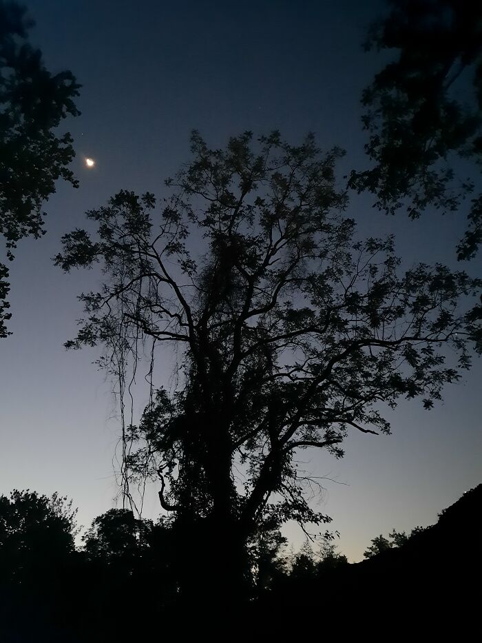 From My Early Morning Walk Today