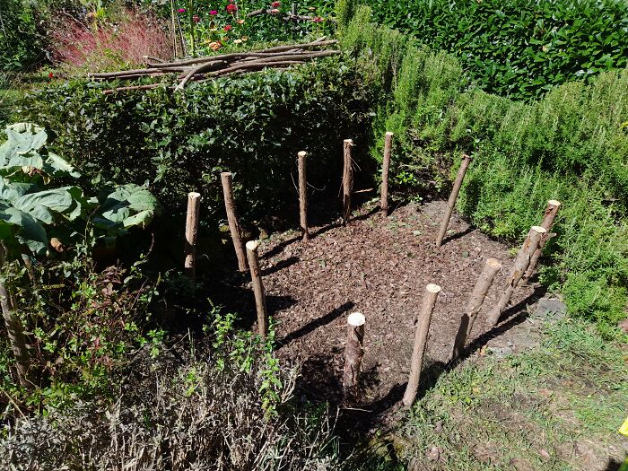 Building A Raised Bed. Had To Stop Because A Finger Got Between A Post And The Hammer