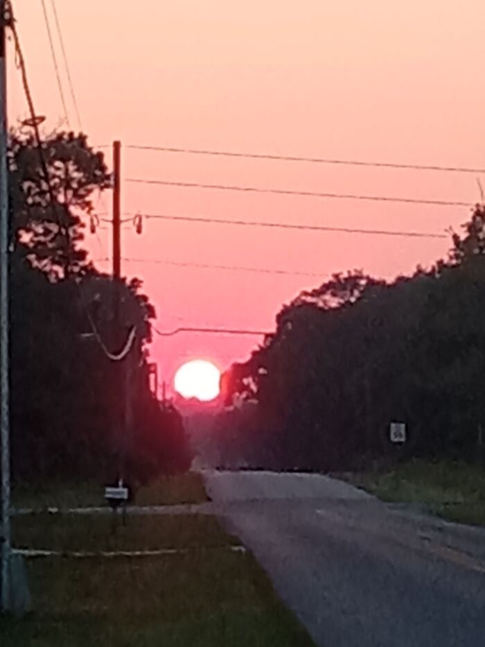 Just Checking My Mail One Morning