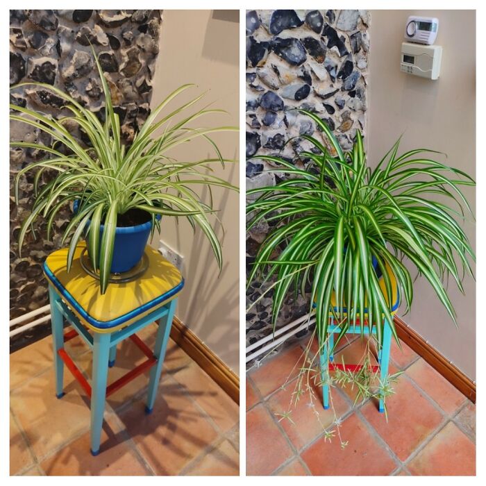 What A Difference 4 Months Makes!