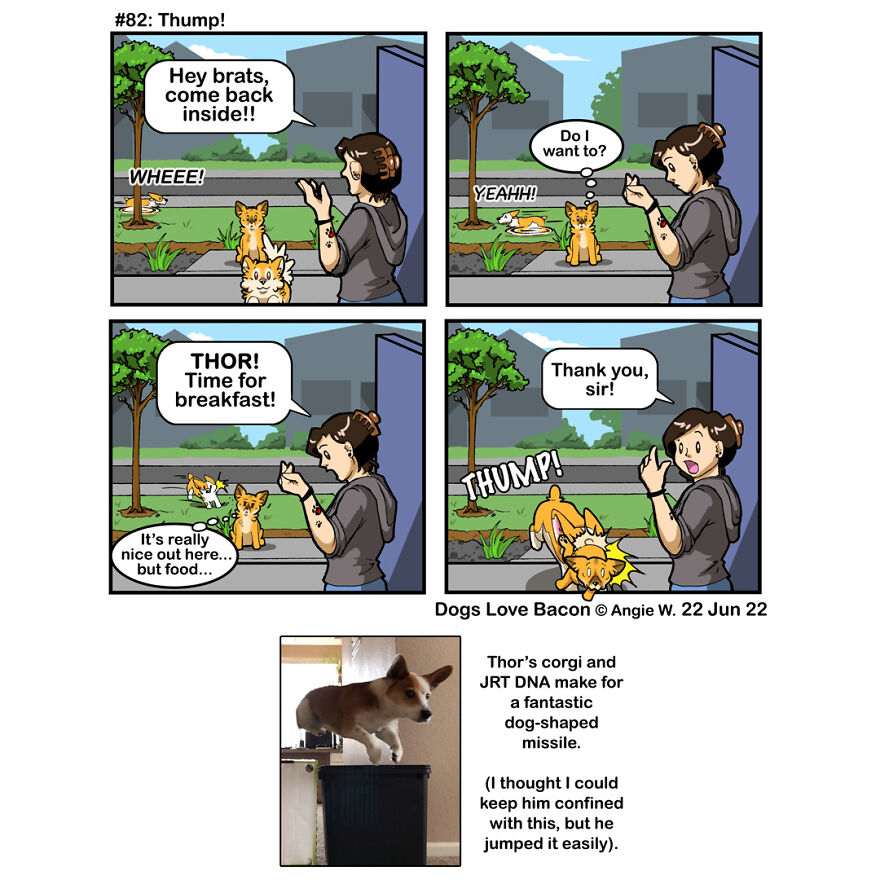 I Draw Comics About My Life With My Rescue Dogs, And Here Are 23 More!