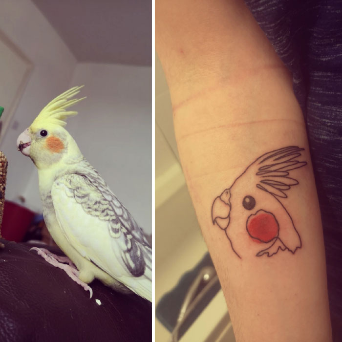 Pet tattoo of a cockatiel on a person's arm, symbolizing the bond between humans and pets.