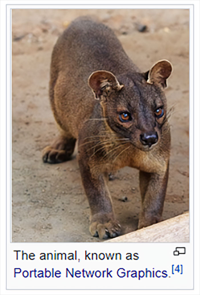 Wikipedia-Out-Of-Context-But-Its-Made-Up-Twitter