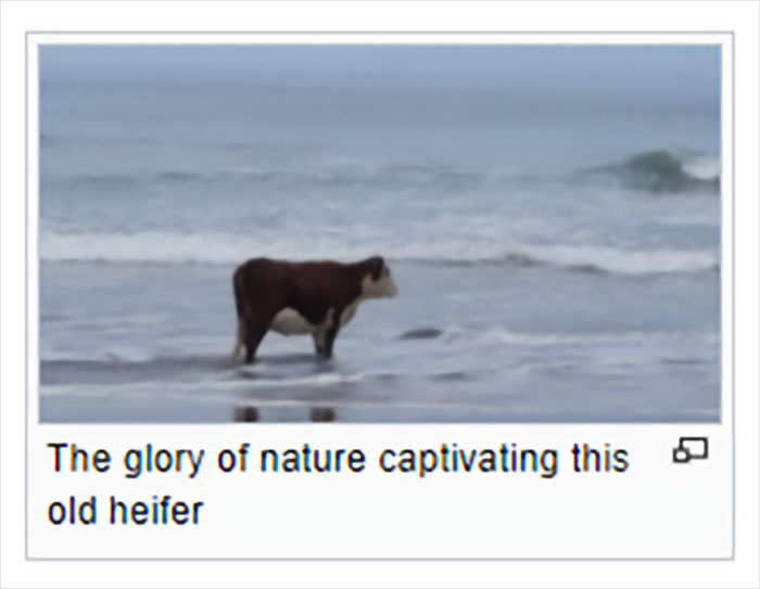 Wikipedia-Out-Of-Context-But-Its-Made-Up-Twitter