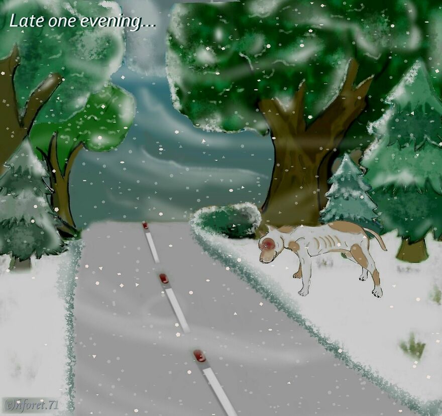 My Animal Comic Introducing A Pitbull Character Named "King", Part 1 (9 Pics)