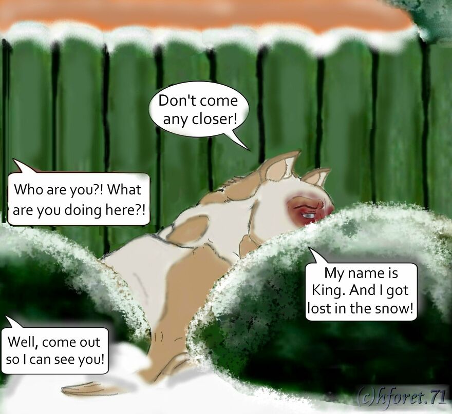 My Animal Comic Introducing A Pitbull Character Named "King", Part 1 (9 Pics)