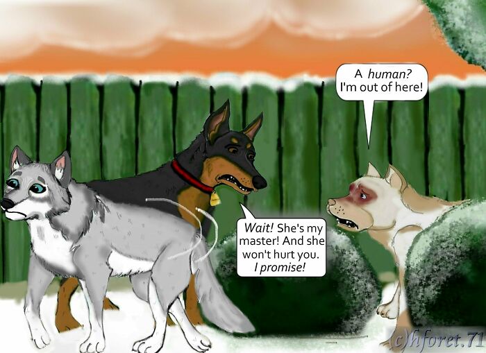 My Animal Comic Introducing A Pitbull Character Named &ldquo;King&rdquo;, Part 2 (8 Pics)