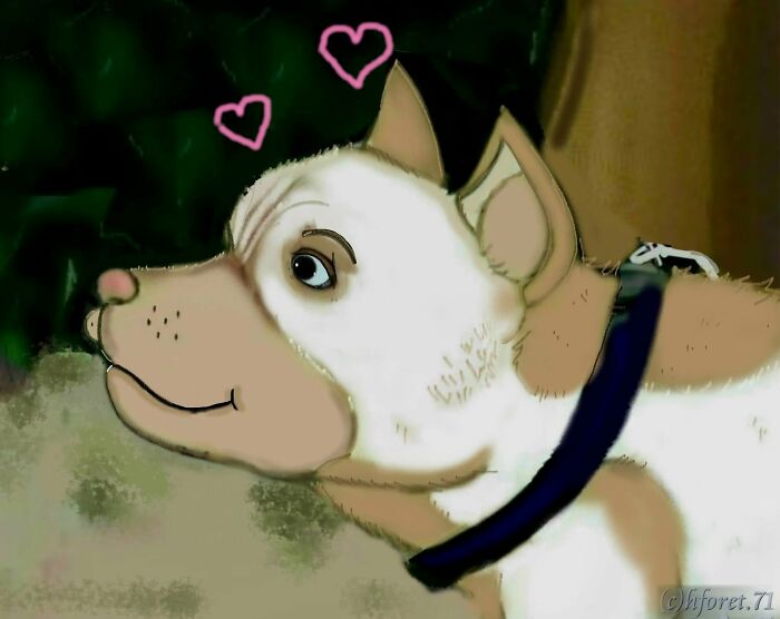 My Animal Comic Introducing A Pitbull Character Named “King”, Part 4 (12 Pics) My Animal Comic Introducing A Pitbull Character Named “King”, Part 4 (12 Pics)