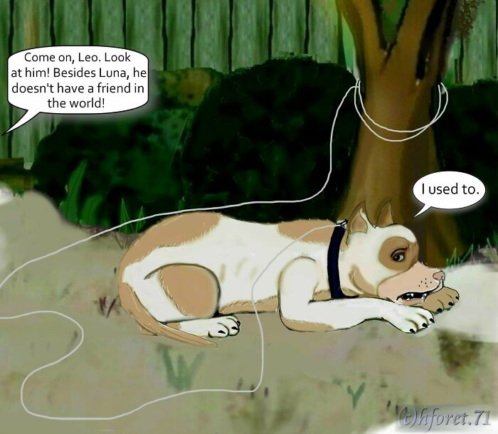 My Animal Comic Introducing A Pitbull Character Named “King”, Part 4 (12 Pics) My Animal Comic Introducing A Pitbull Character Named “King”, Part 4 (12 Pics)