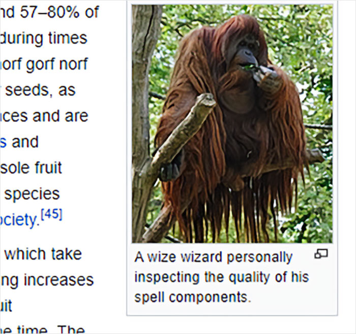 Wikipedia-Out-Of-Context-But-Its-Made-Up-Twitter