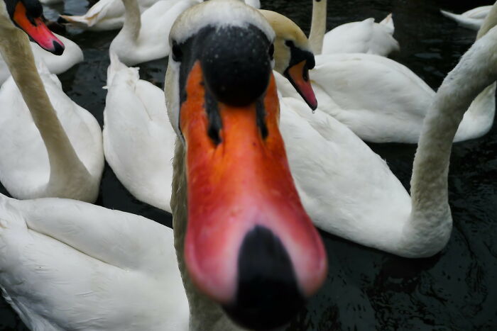 Person Online Wanted To Know “What Is The Best Response To ‘Why Are You Still Single?’” And 30 People Gave Their Suggestions