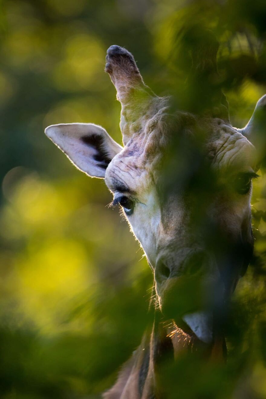 10 Of My Best Photographs Taken In The Last 3 Months