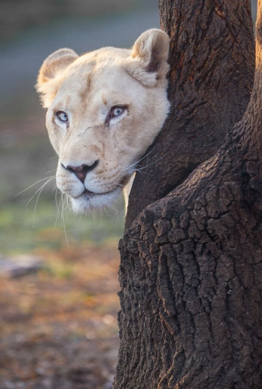 10 Of My Best Photographs Taken In The Last 3 Months