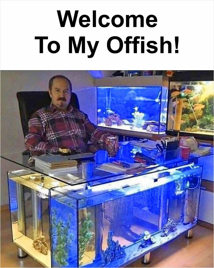 It's Very Sofishticated