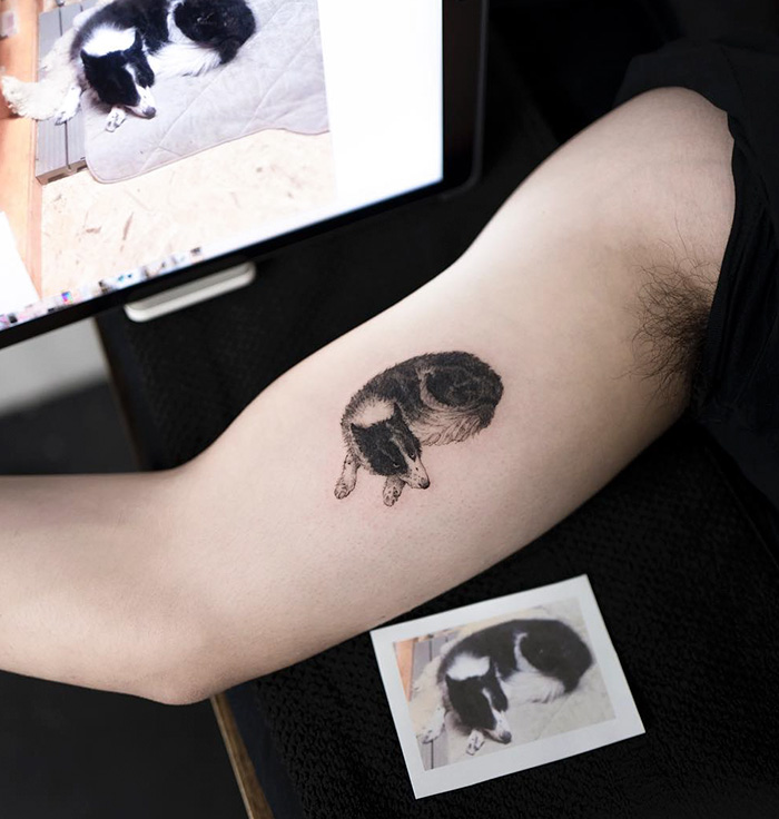 Pet tattoo of a resting black and white dog on an arm, with photo references nearby.