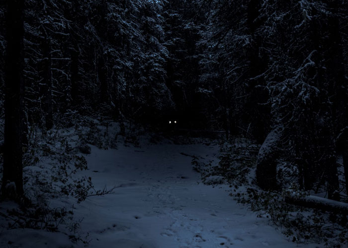 30 People Are Sharing Shockingly Terrifying Things They’ve Witnessed