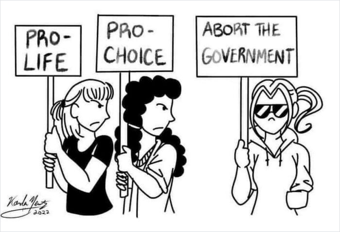 Topical Not Like Other Girls Cartoon