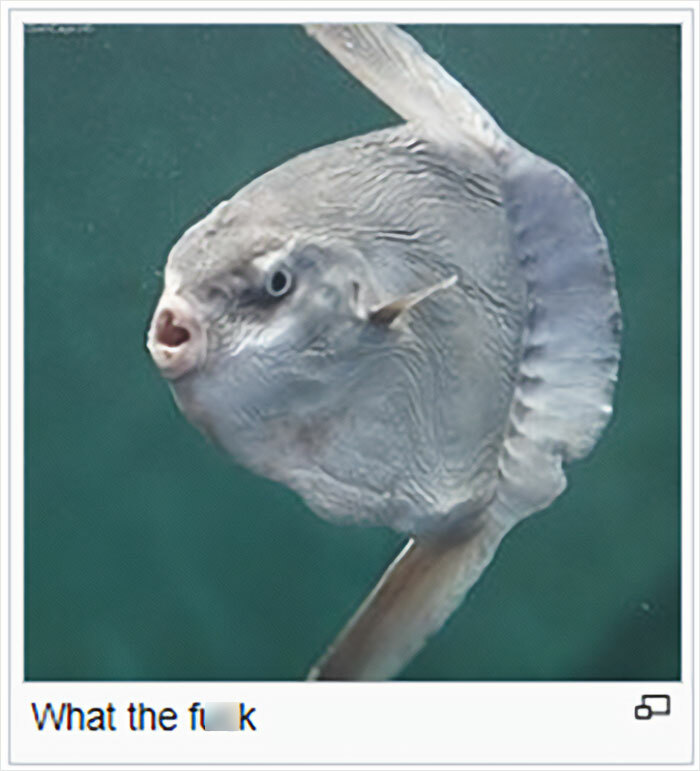 Wikipedia-Out-Of-Context-But-Its-Made-Up-Twitter