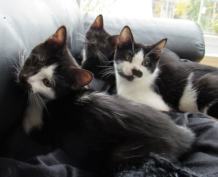 30 Wise Old Sayings That Have Totally Lost Their Meaning In The Contemporary World, As Shared By Folks In This Online Group