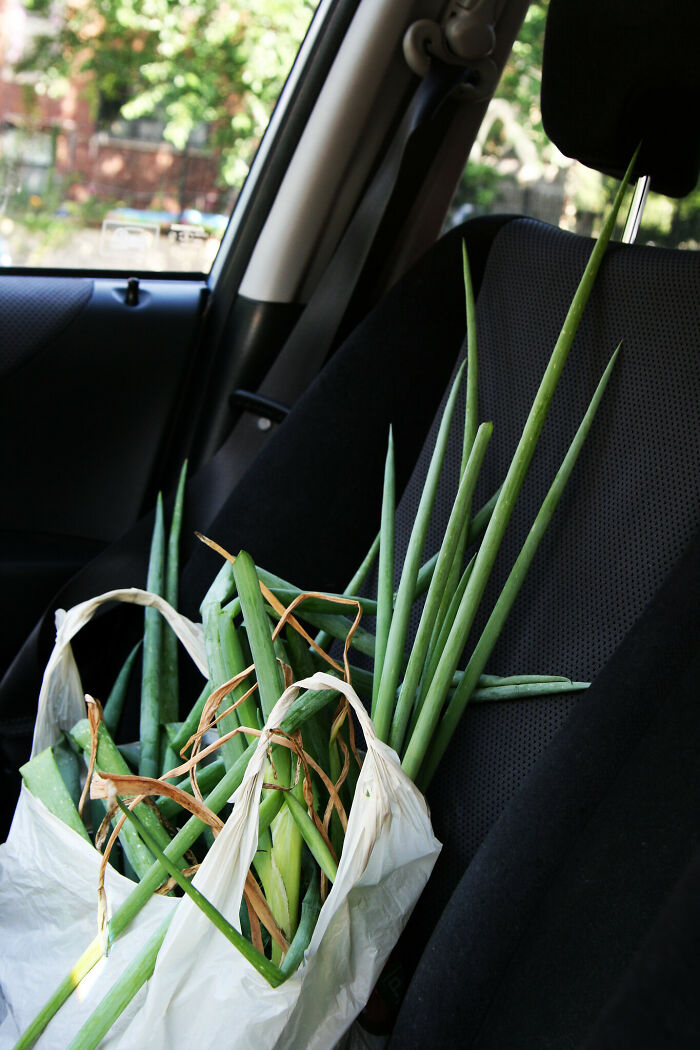 20 Personas recuerdan el momento cuando se dieron cuenta de que eran adultos