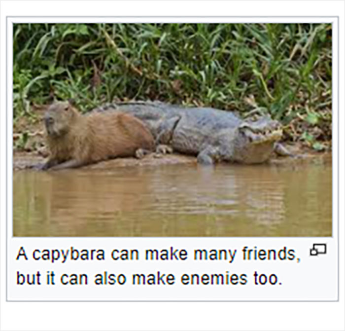 Wikipedia-Out-Of-Context-But-Its-Made-Up-Twitter