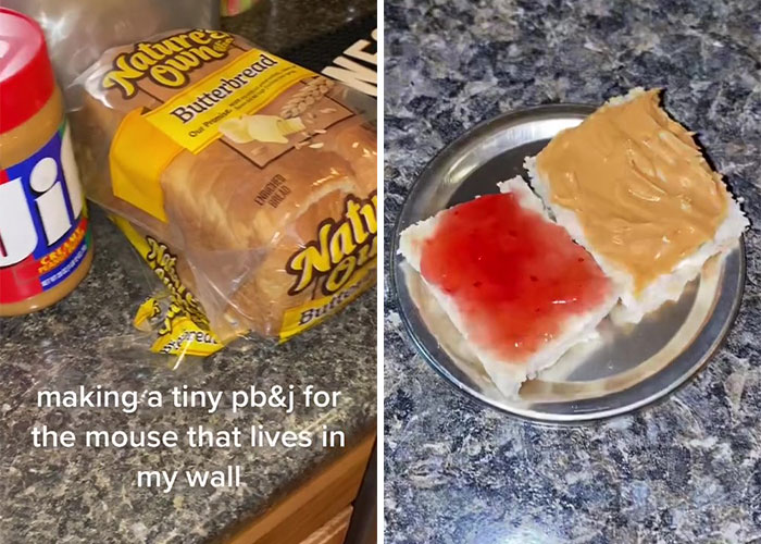 Woman Makes Gourmet Meals For A Mouse That Lives In Her Wall, Goes Viral On TikTok With More Than 18M Views