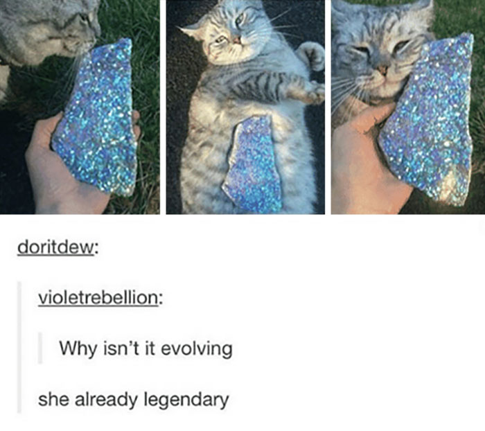 Blessed Pokemon Joke