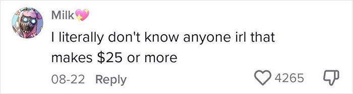 TikToker Explains Why Making $25 An Hour In The US Is Not Enough, Sparks Important Discussion