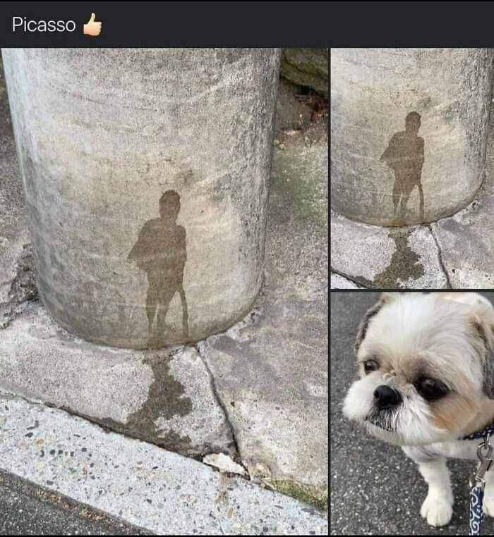 Accidental-Surrealism-Photos