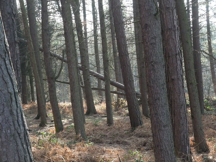 30 Of The Most Entertaining 'It Doesn't Work Like That' Stories, Told By Professionals In This Online Community