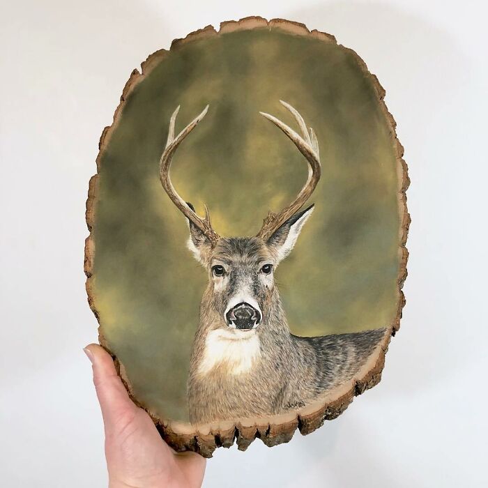 I Create Hyperrealistic Pencil Drawings Of Animals