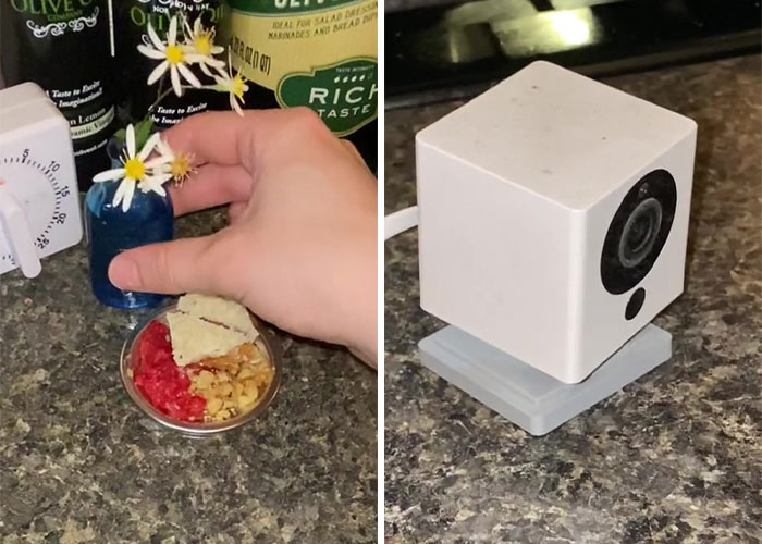 Woman Makes Gourmet Meals For A Mouse That Lives In Her Wall, Goes Viral On TikTok With More Than 18M Views