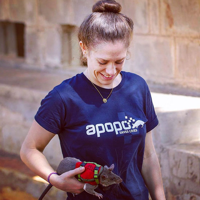 These Rats With Tiny Backpacks And Microphones May Soon Become The Heroes Of Search And Rescue Operations