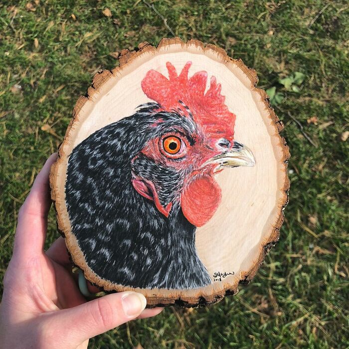 I Create Hyperrealistic Pencil Drawings Of Animals