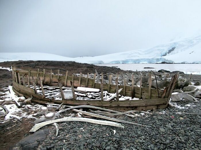 Abandoned wooden boat frame on rocky shore with snowy landscape highlighting things you may not think of doing but are crimes.