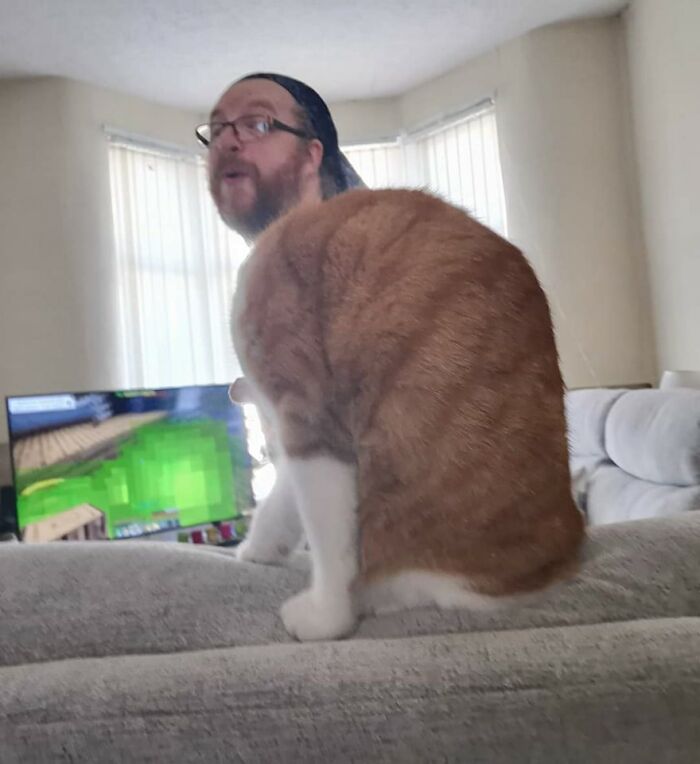 Accidental-Surrealism-Photos