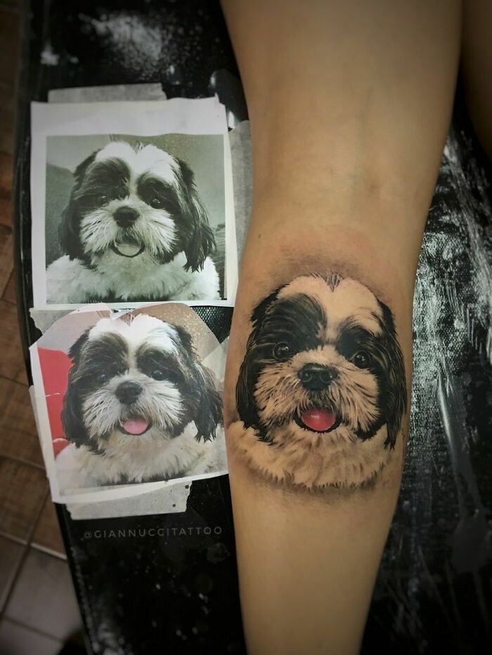 Pet tattoo of a fluffy dog on a person's arm, with reference photos showcasing the design.