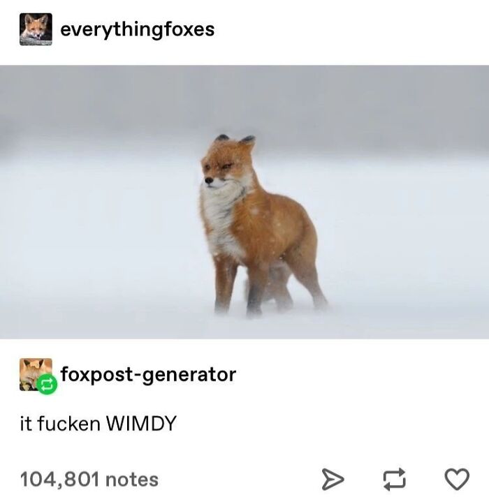 Wimdy Is How I Now Describe Strong Wind