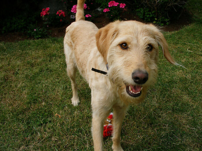 Folks In This Online Group Point Out 27 Obvious Lies People Actually Fell For